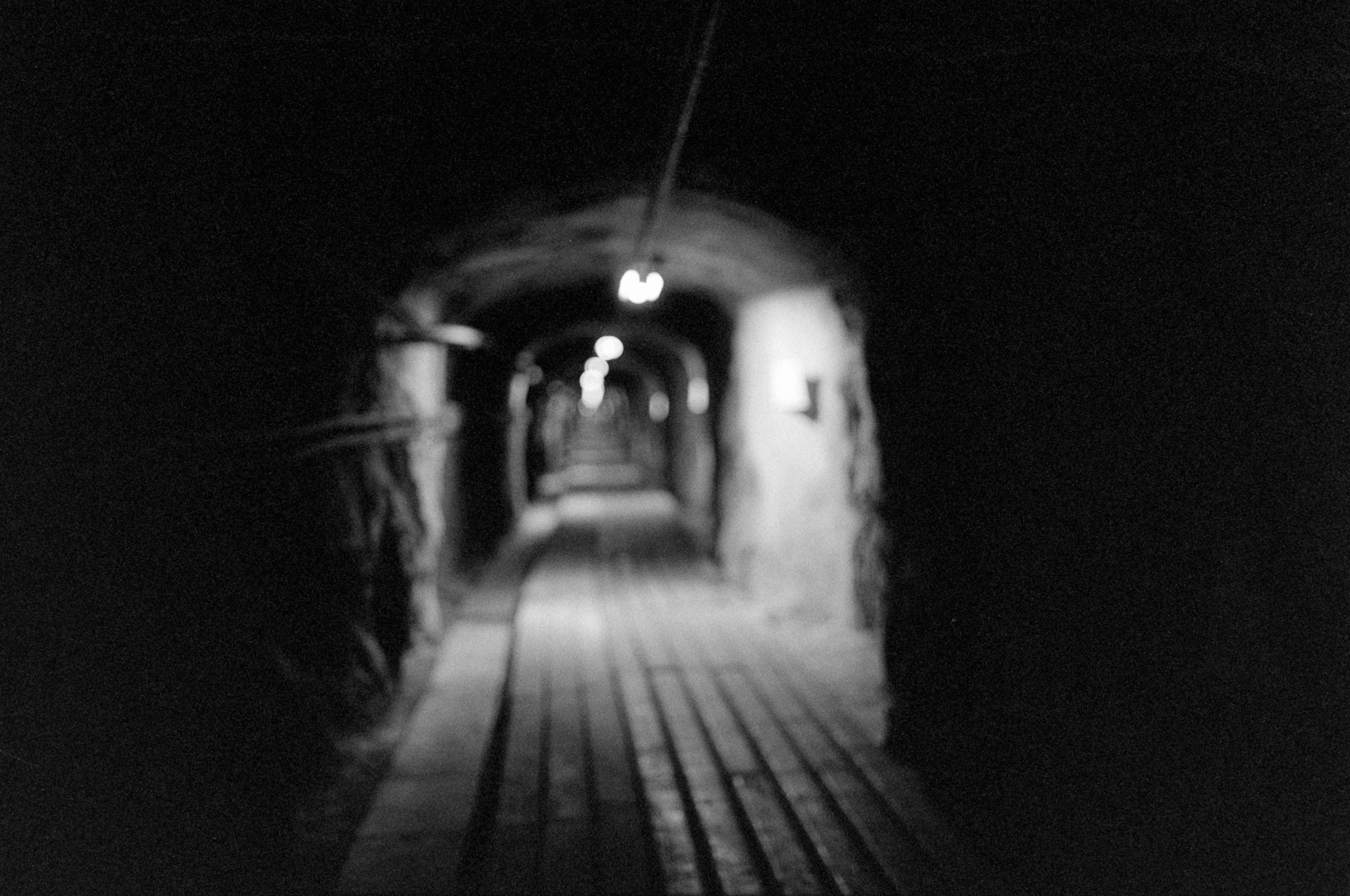 AHP F1994 11 007 sc250521 img08 NLP